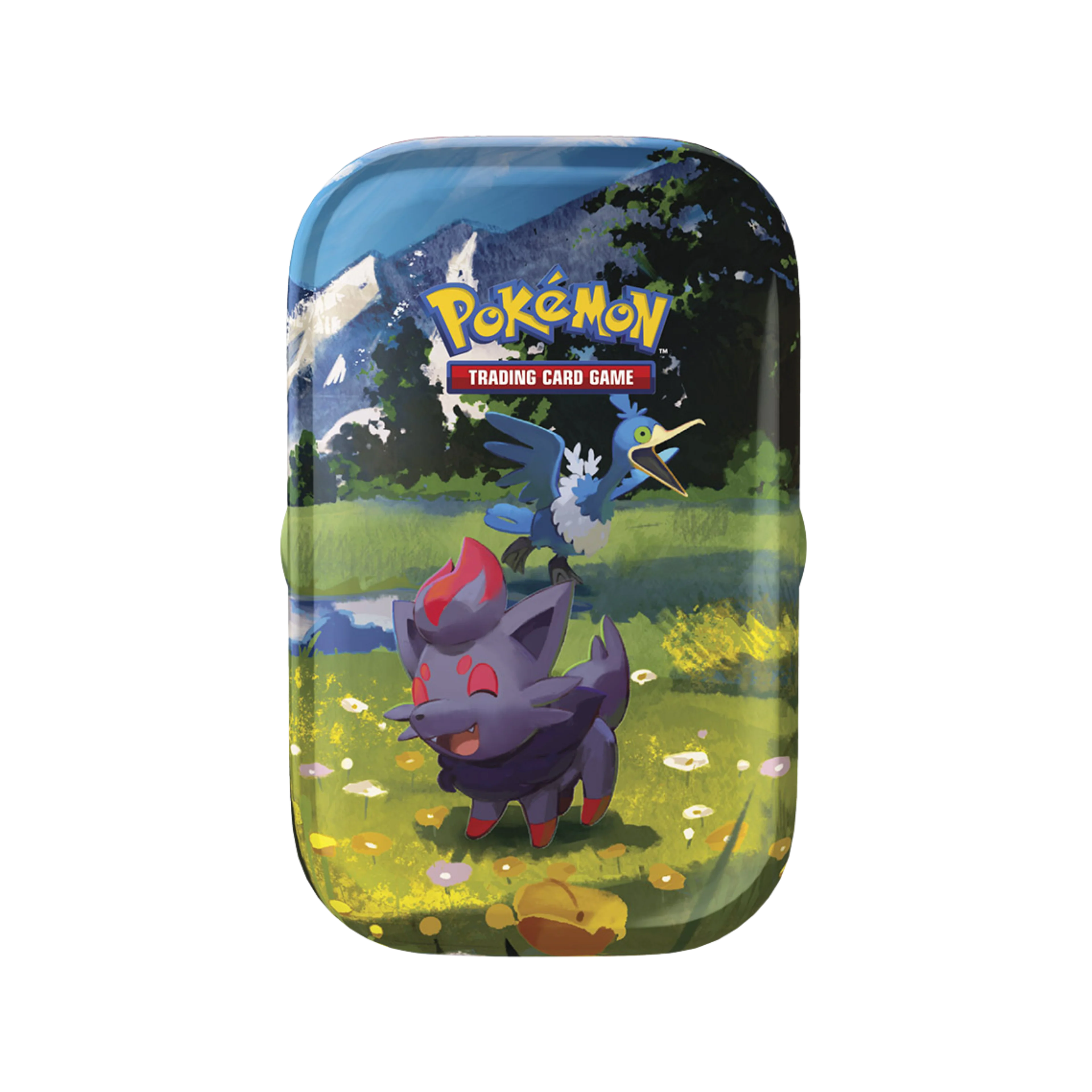 Miniatura 5